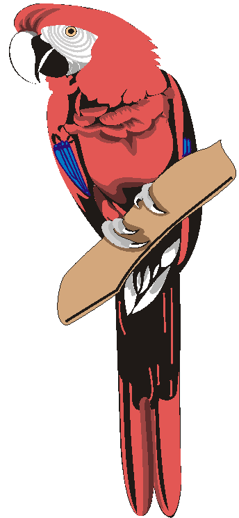 Parrot