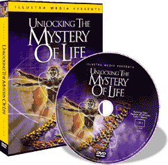 The mystery