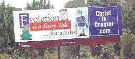 Stupidity run amuck